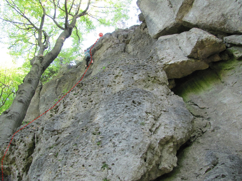 The route begins near this tree and heads up to where Aran is, then to the left of the little overhang and back right to the anchor.