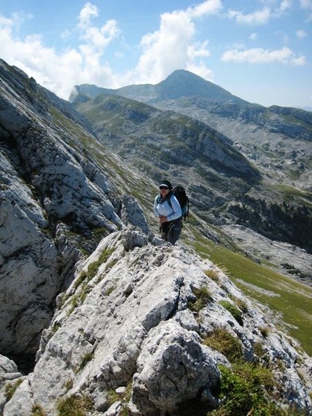 Carol Petrelli on the top of p5 of Pilier Martin.