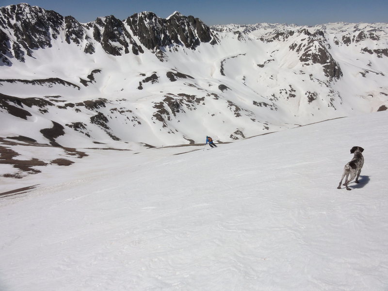 Skiing Handies Peak with smoke dog