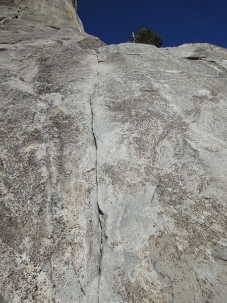 Pine Line - Fun! February 4, 2012