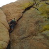 Climbing Granite Dells