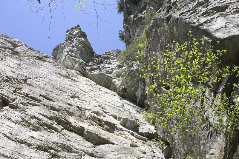 Jason testing his gear for the first time ever. Took him a while to finally let go but all went well. Great route to practice falling near the top of the crack.