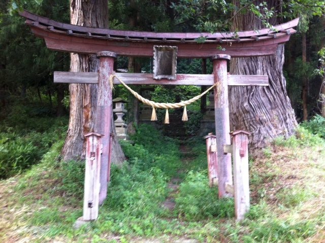 This torii gate marks the entrance to the forest, leading you to the ...