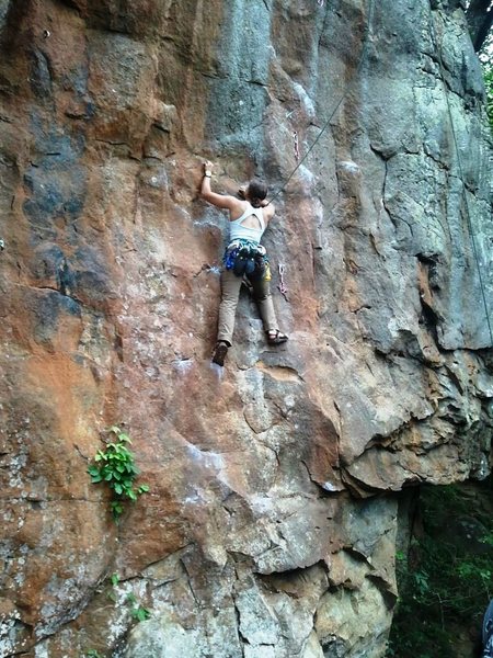 Top roping in Chacos as a victory lap after a clean lead (in rock shoes).
