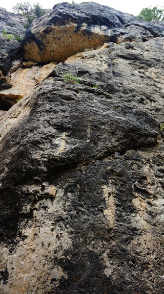 Looking up at Sue-bob.