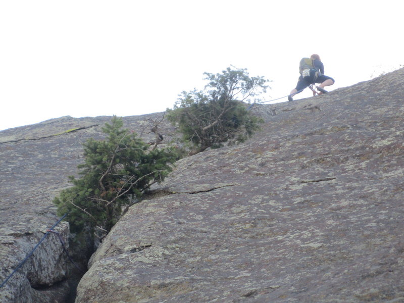 The top of the 3rd section. It looks improbable that you'd be able to pass these trees, but it's no problem....