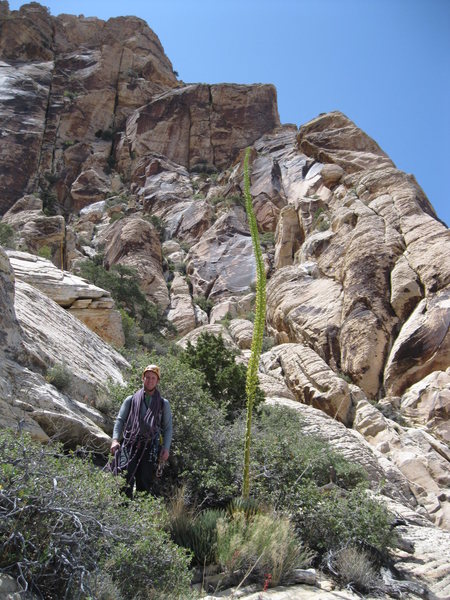 Andrew and the Giant Agave. Heading up to the base of GLB.