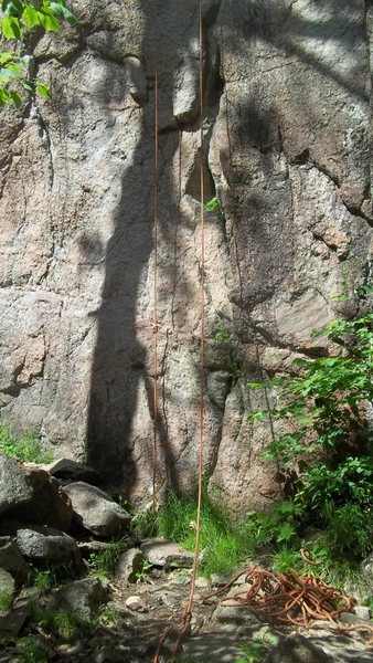 Base of Neruda 5.7+