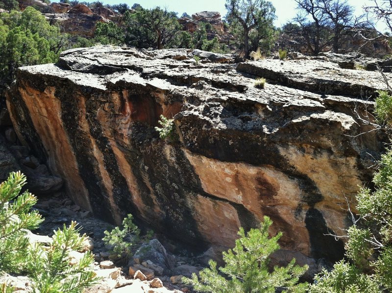 Leave No Trace Boulder.