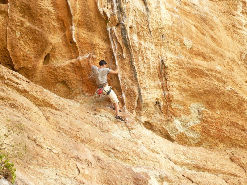Tufa section