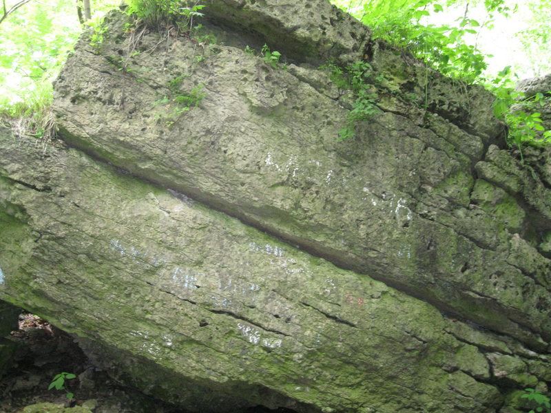 Possible V1? Start in the juggy finger pockets on the bottom and go straight up, staying away from the nice finger pocket halfway up the face.