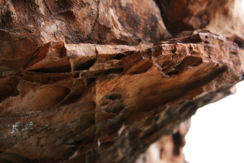 A closeup of some schaweet rock textures of the Snake Pit sandstone at the Garden of the Gods.