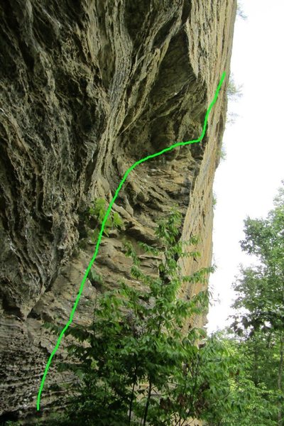 This is the line... sooooo fun!
