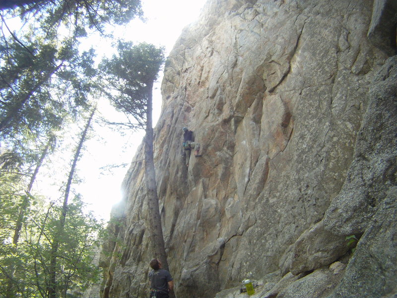 Great route, not sure it goes 11d though, one of the better routes at Sherwood Forest.
