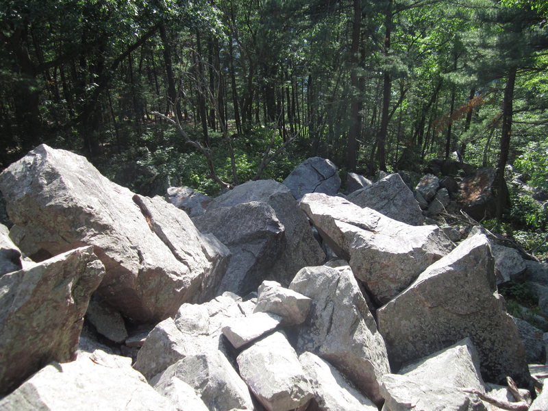 Part of the Mini-Talus