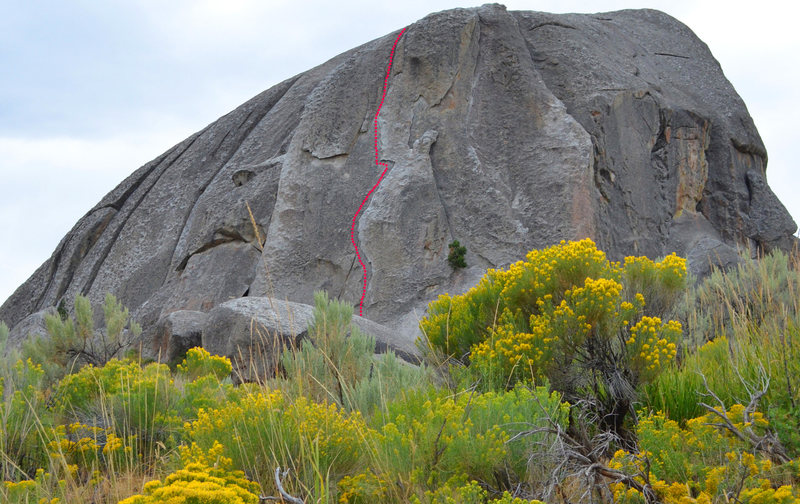 Grab ahold and climb up the elephant's back