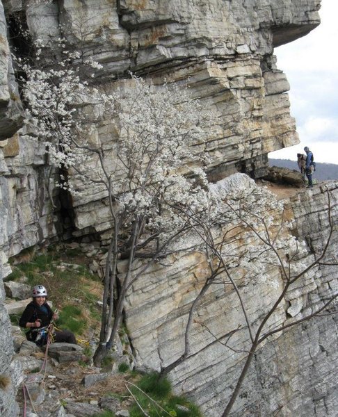 A view of High E from the Jim's Gem ledge. The two people in the background are on high E!