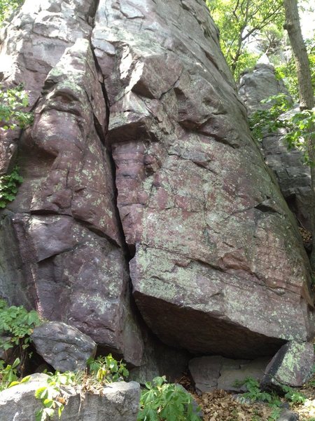 Beta Photo. This is the buttress which is below weissner's. Hopefully someone can help get this organized better.