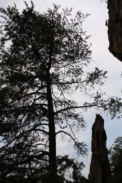 Two Pitch Wall<br>
<br>
Robert Hutchins climbs (FS)<br>
Two Pitch (5.4) trad <br>
<br>
Crowders Mountain State Park, North Carolina