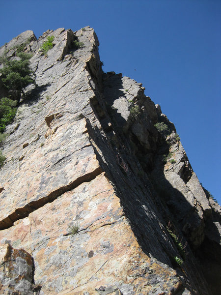 Looking up the beautiful, exposed section of the ridge. I belayed at the base of the shadowy dihedral above.