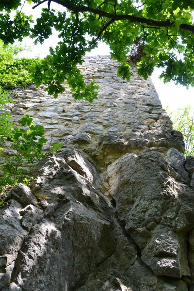 View from the bottom of the route. Route starts in the crack and then goes straight up from there.