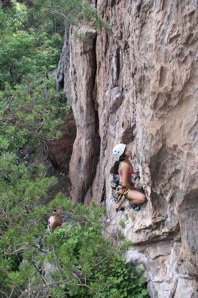 Rising Sun Wall<br>
<br>
Geniey has a strick ground up onsight mentality when reasonable.<br>
<br>
No Added Weight(5.10) sport<br>
<br>
Crowders Mountain State Park, North Carolina