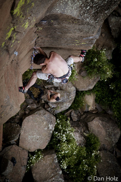 Stemming, stemming, and more stemming.<br>
Photo by Dan Holz.