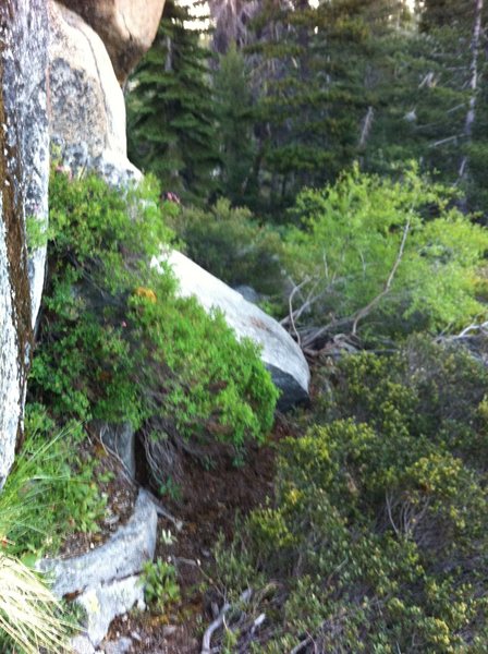 New trail leading to base of what should be popular routes.