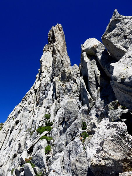3rd class terrain along the summit ridge. P4. <br>
<br>
Photo: Corey Gargano
