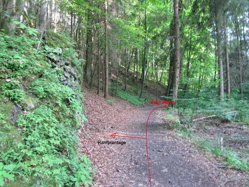 The path to the Hanfplantage is this left before the stairs in the background.