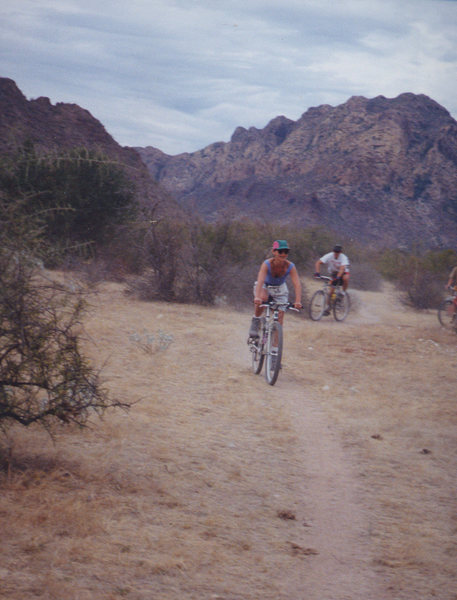 a wealth of moderate mountain bike trails and paths<br>
Photo: Olaf Mitchell