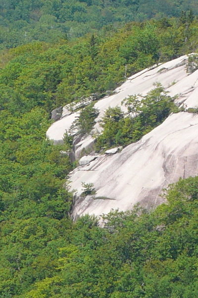 You can see the wall steepen at the tree line.