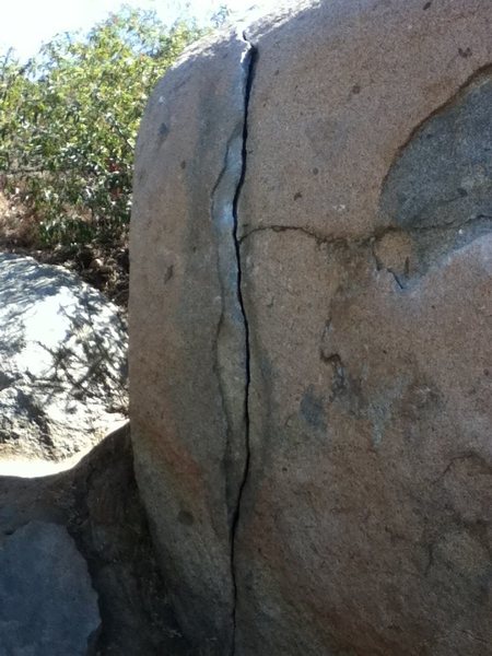 A closer shot.