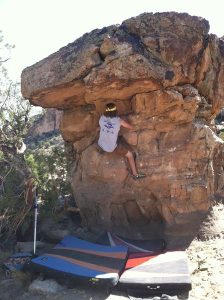 AJ moving up to the roof on Born on the 4th of July.