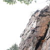 Nuke The Whales Wall<br>
<br>
A Fine Line (5.7) trad<br>
<br>
Crowders Mountain State Park, North Caroina