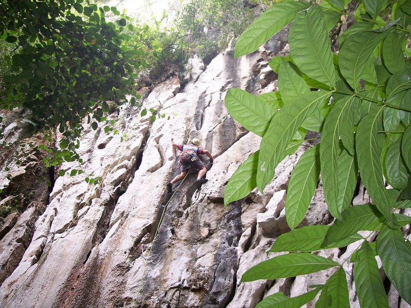 Eric Coffman leading "Sadako" #8