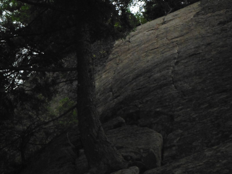Top half of Crimps Are For Pimps. Follow the left seam to the top.