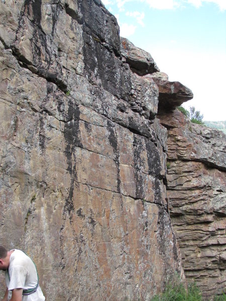 Climbs up between the black streaks.