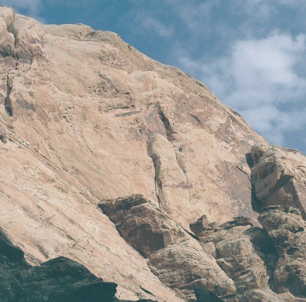 Lance Bateman .Paul Ross on Heliotropism 5.12.