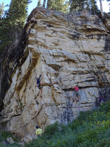 Someone on ride the lightning(left) and the 11b(right)