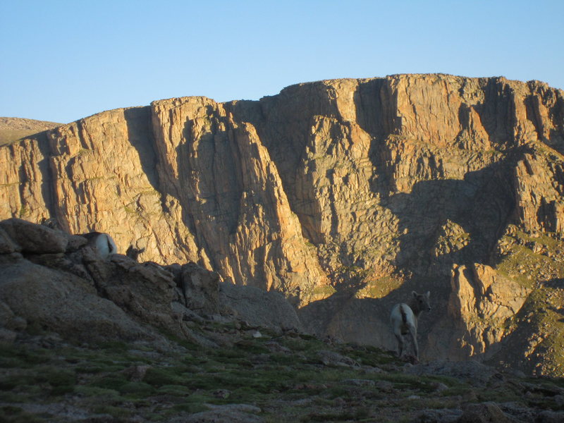 I think this guy was scoping out a route on the Tan Buttresses as well.