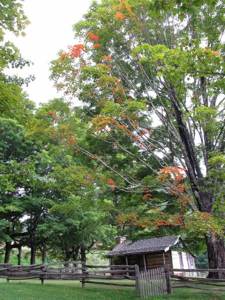 August 18th, 9:00am: 55 degrees and fall color at the cabin.