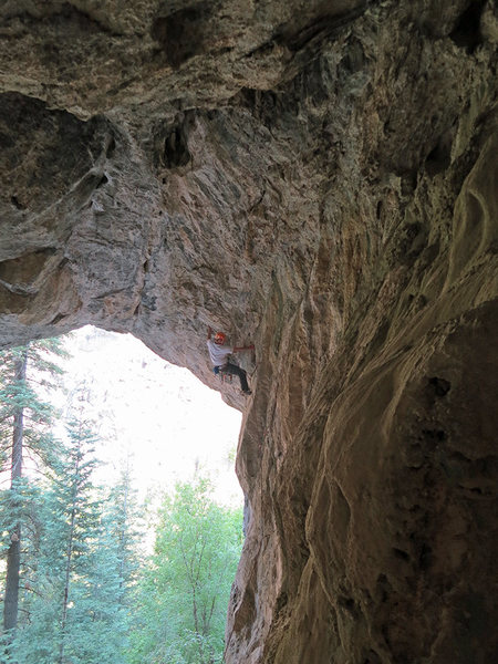 Thomas Holmes working on getting established in the ceiling of the cave.