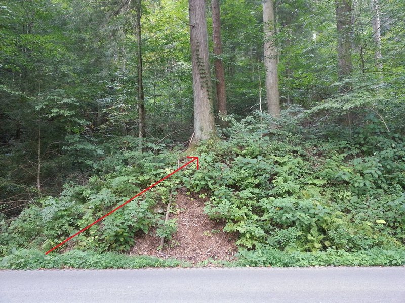 Mysterious, faded, vegetation covered approach trail. It's immediately to the right of a small ravine. The trail becomes clearer once 50 feet or so into the woods.