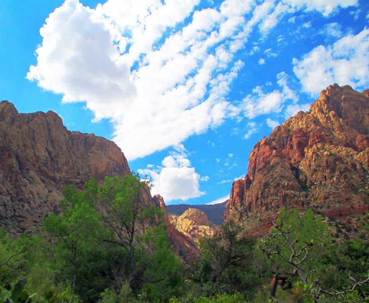 Hiking to the Lotta Balls Wall- First Creek Canyon.<br>
<br>
Taken 9/4/12- Gorgeous out there this time of year!