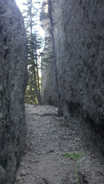 looking toward main trail from base of route