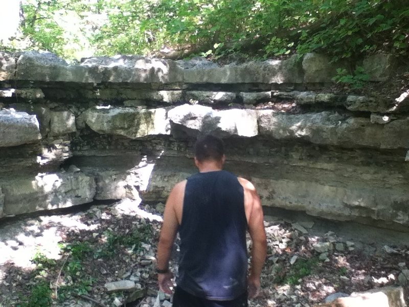 this is pit fall needs to be cleaned out but has allot of potintal