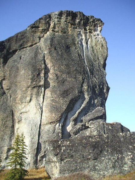 Follows the crack up the left side of the photo. The crack gets very thin before it peters out into the upper face climbing section. Photo: C. Rowell