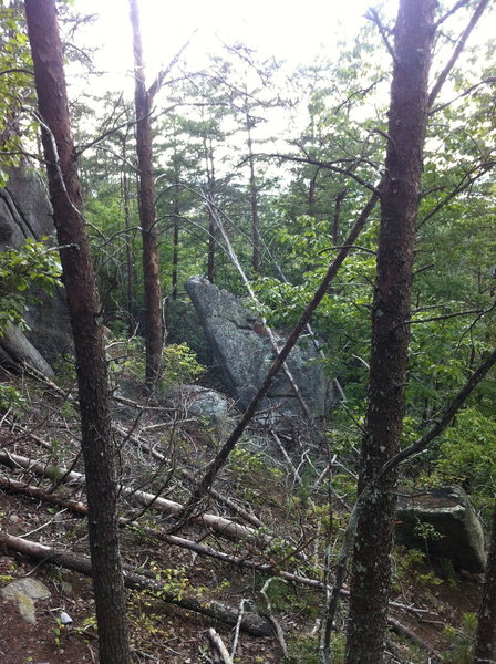 View from Decepticon