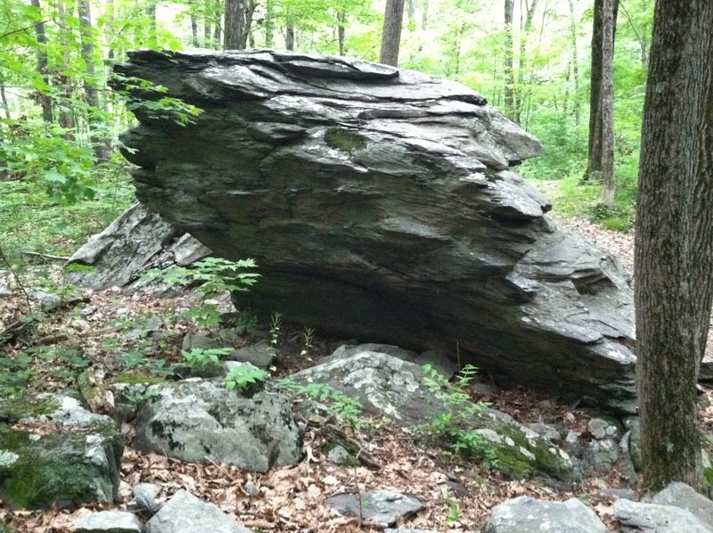 The overhang and prow side of Gorilla Rock. Tarzan (V2?) sit starts at the bottom right and traverses left and up along small crimps to the prow. Gorilla Hands (V0) sit starts under the prow and goes straight up to the prow